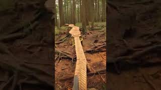 Fromme Woodwork - Pipeline - North Shore...