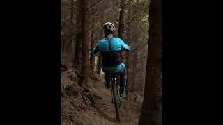Wanna learn how to wheelie?