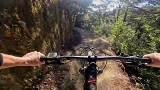 Jaws @ Kaiteriteri MTB Park.