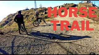Ride Along on a Wild and Dangerous Horse Trail...