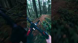 Epic Hidden Trail!