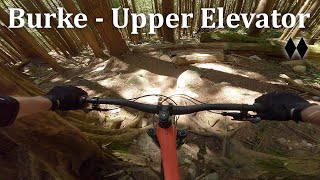 Burke - Upper Elevator