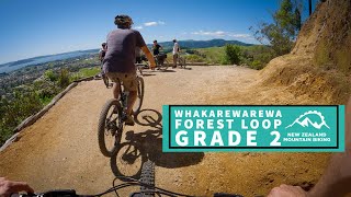 A Beginner Mountain Biker's Guide to the...