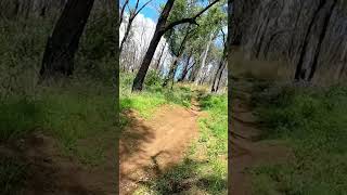Mtb asmr #mtb #bikeshorts #downhill #asmr...