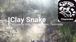 Clay Snake