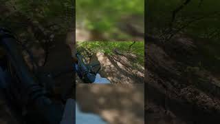 MTB Anninger Crash  #shorts