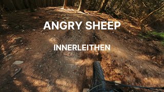 Angry Sheep Innerleithen PoV
