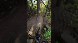 One of my favorite Trails in Vermont