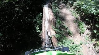 Voodoo - Allatoona Creek - Acworth, GA