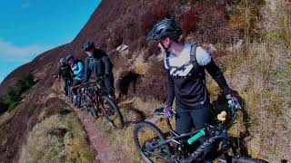Highland Wildcat Trails, Golspie - May 2023