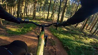 Gehlberg -  Suhler Hütten Trail -  Wilderer Pfad