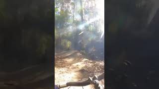 The dream scenery #mountainbike #mtb...