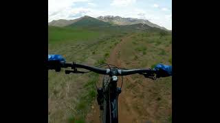 No Brakes Challenge #shorts