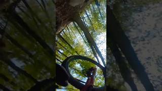 Gnarly OTB Crash!