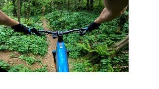 Pomladni Jelen@Mark Emtb