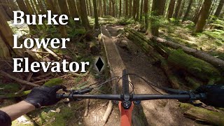 Burke - Lower Elevator