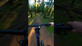 Epic Morning on Hornby Island!