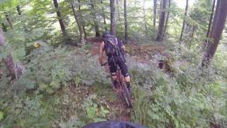OLD DOG Trail Rabeflue Thun