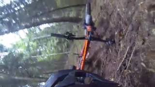 Offcamber Trail Rabeflue Thun