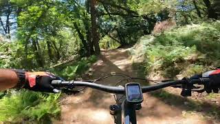 John Nicholas Trail - JNT