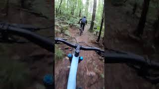 Banned but Epic! Shredding Rotorua's ILLEGAL...