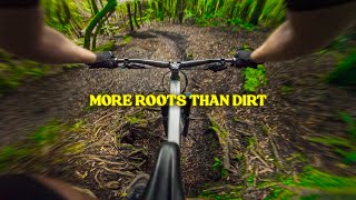 Hidden Gems Amongst 150kms of STUNNING MTB Trails!