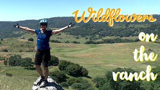 Places 2 MTB: Magnolia Ranch - Cronan Ranch...