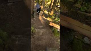 Roller Coaster of Wood, Say What! ...