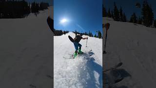 Just monkeying around  #shorts #gaperday #whistler