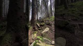 Bike Loves Some Chunky Rocks #deviate...