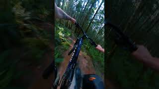 Powell River Flow!!