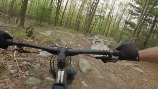 Trail Preview: Spooge in South Michaux Forest