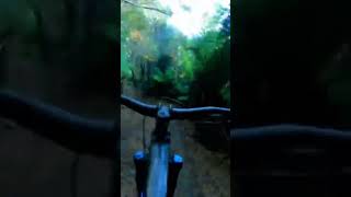 Forestry #mountainbike #mtb #bikeshorts #asmr...