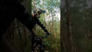 This trail was so steep! #mtb #mountainbike...