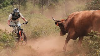 EPIC ENDURO RACE GOT EVEN WILDER! TRANS...
