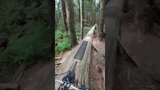 The Millennium Log On CBC