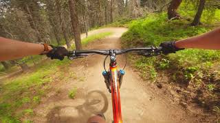 Strange Brew [West Bragg Creek]