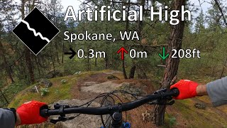 Artificial High - Beacon Hill - Spokane, WA