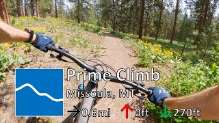 Prime Climb - Blue Mountain - Missoula, MT