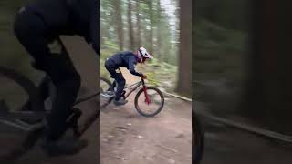 A little gnar