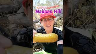Gherkin on the trail