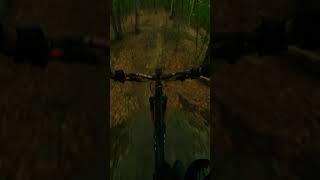 The Woods pt.2 #enduromtb #mountainbike...