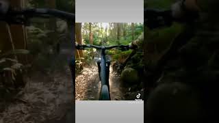 Hard to believe this is Australia #mtb...