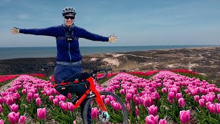 Mit dem Gravelbike in Holland | Fahrrad Paradies 