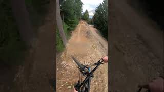 The Biggest Public MTB Jumps In The World?!...