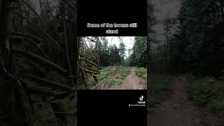 So Scary  #mtb #mountainbiking #bike #bikepark...