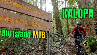 Kalopa MTB Mudfest