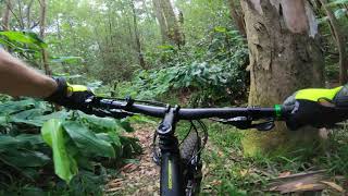 Mountain Bike: Kalopa Perimeter Trail - Big...