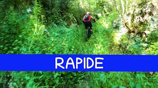 MTB Monte Calvi 27.05.2023 sentiero RAPIDE,...