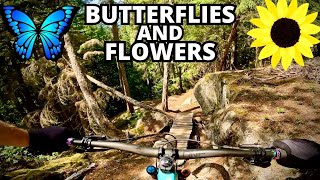 Whistler's Westside Trail Butterflies And...